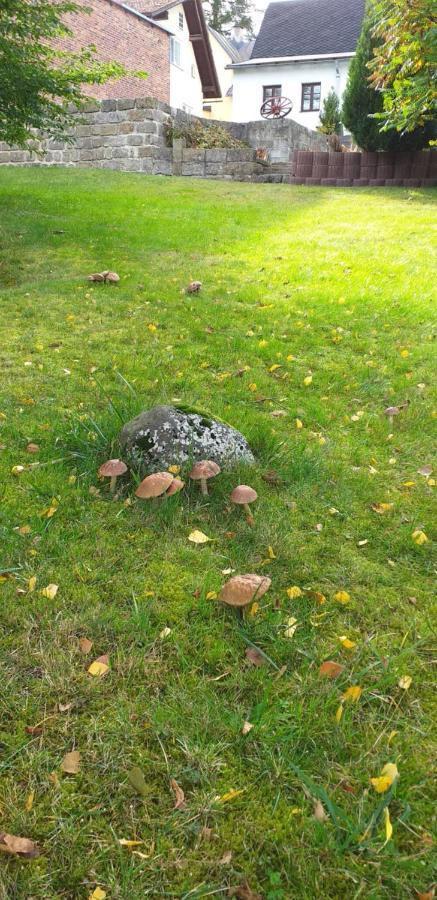 Rekreacni Dum Pohoda Jiretin pod Jedlovou Luaran gambar